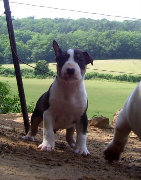 H�lios 1 mois et 1 semaine