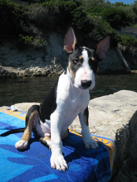 H�lios � la mer...