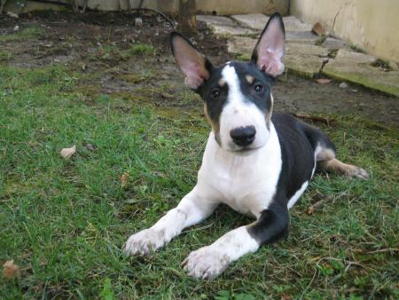 H�lios 2 mois et demi