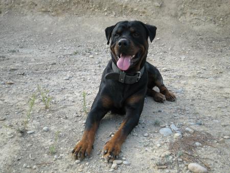 Bouba 1 ans et 10 mois