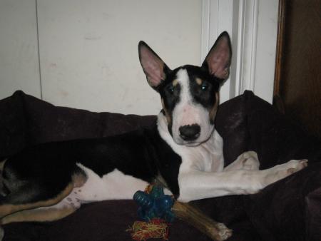 H�lios 4 mois et demi