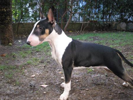 H�lios 5 mois et demi