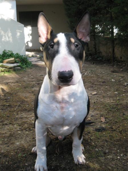 H�lios 6 mois et 3 semaines